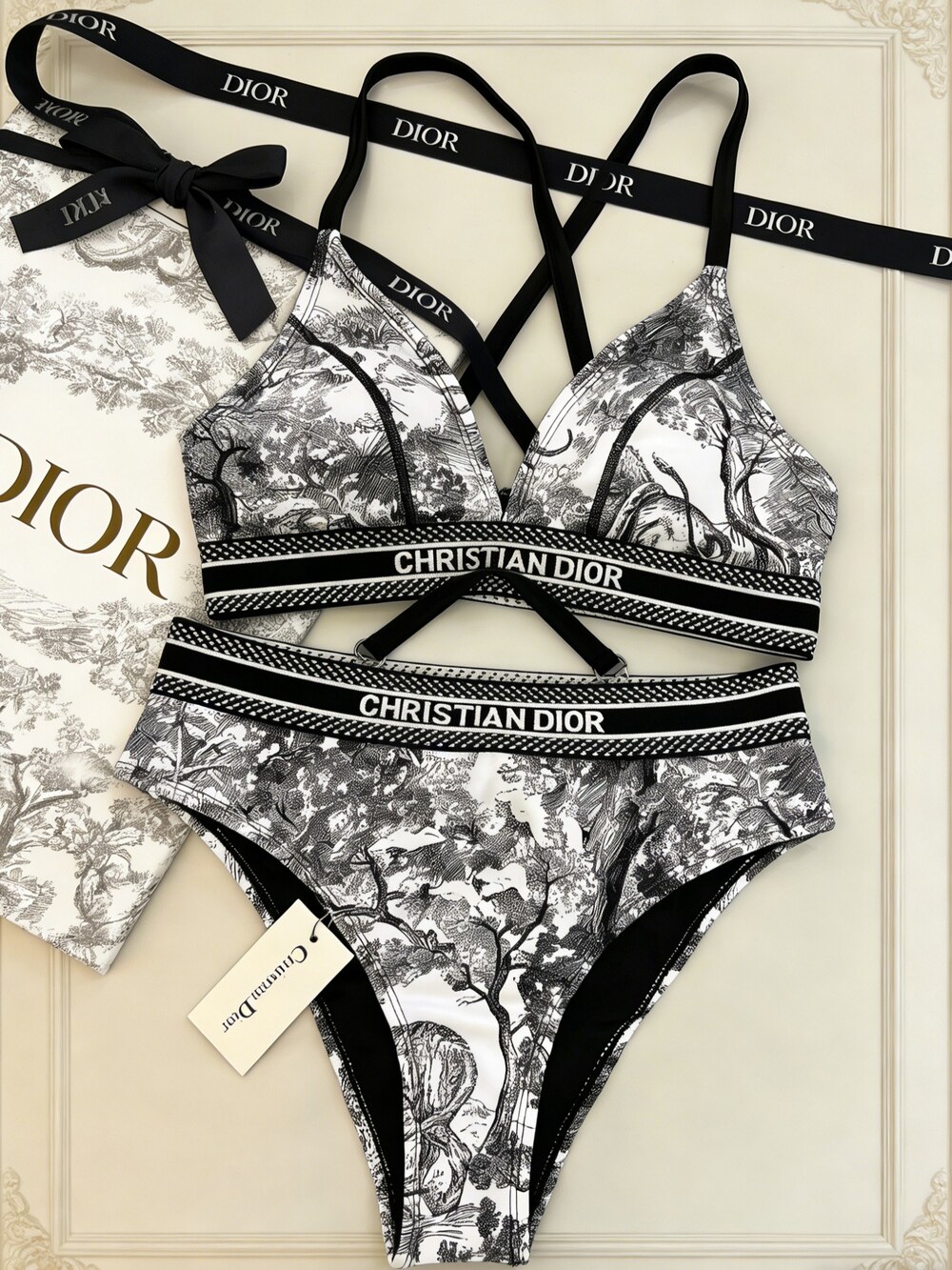 Dior Toile de Jouy Print Bikini
